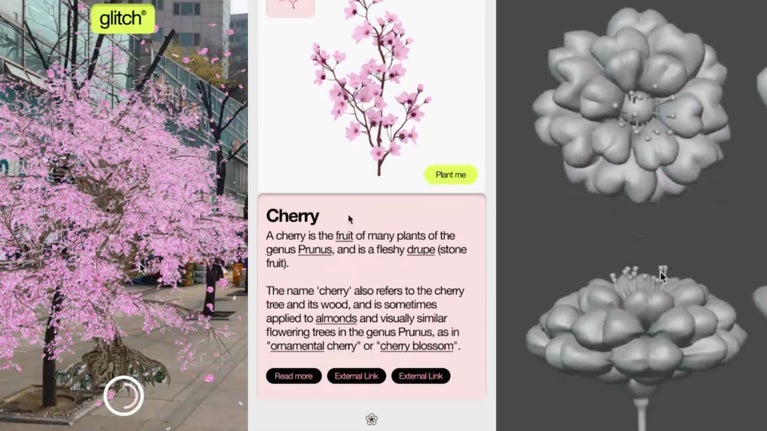 Screenshots from the prototype version of the Glitch platform showing AR blossom trees in action, a screen where users can learn about the blossom tree and a 3D blossom flower model, all part of the National Trust London x Glitch collaboration for Blossom 2025
